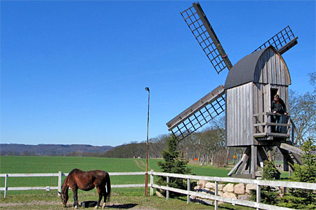 Pferd und Mühle in Altensien